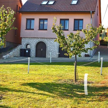 Apartmán Nesyt Sedlec (Breclav) Exterior foto